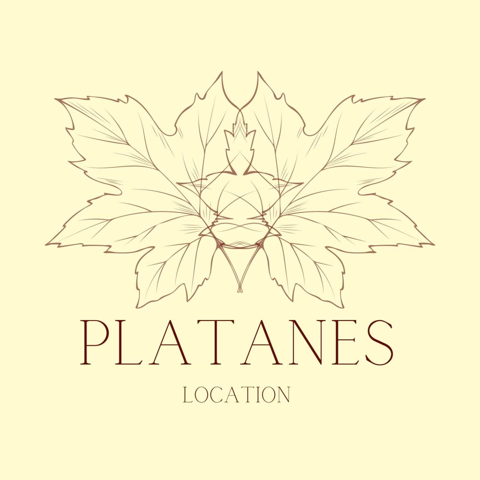 Hotel Platanes - Kb Hotel Group Etauliers Экстерьер фото